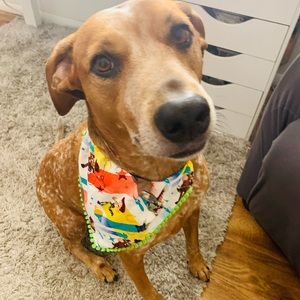 Toy story dog bandana